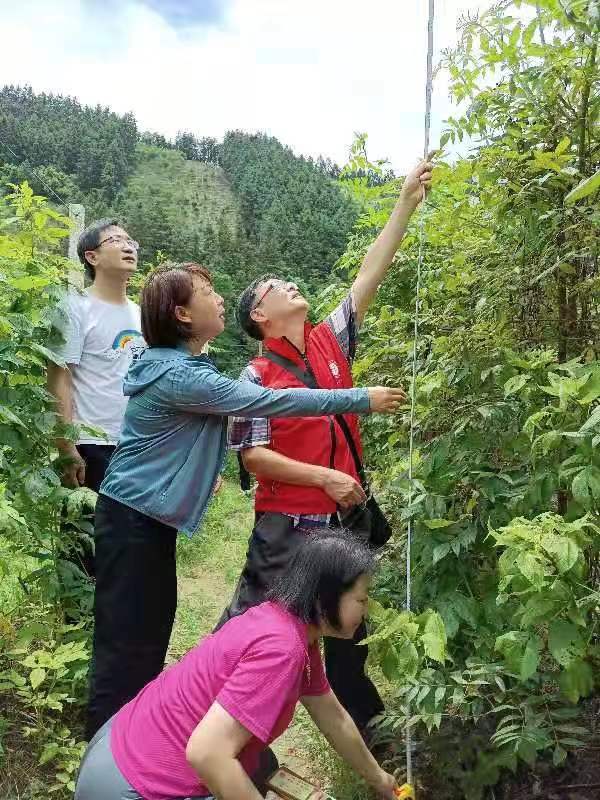 说明: C:\Users\lenovo\AppData\Local\Temp\WeChat Files\08289929a4b0d1599263366b54a5b3a.jpg 说明: C:\Users\lenovo\AppData\Local\Temp\WeChat Files\08289929a4b0d1599263366b54a5b3a.jpg